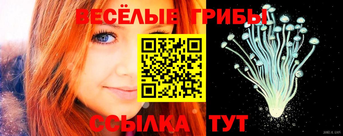 Псилоцибиновые грибы GOLDEN TEACHER Избербаш
