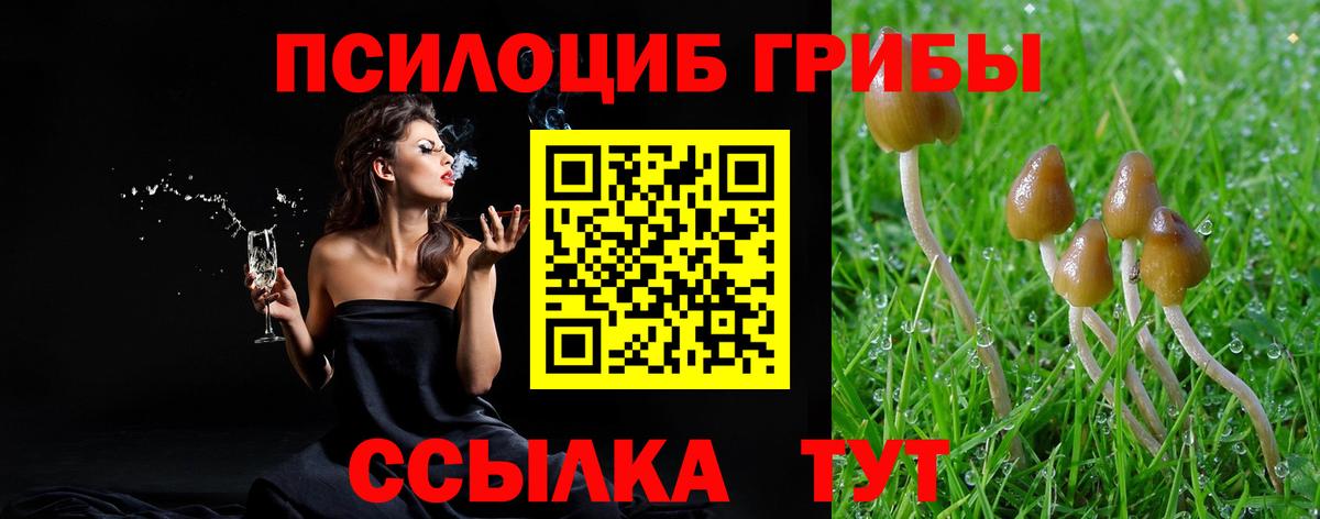 Избербаш  Галлюциногенные грибы мухоморы  Вход с VPN  Галлюциногенные грибы мухоморы 